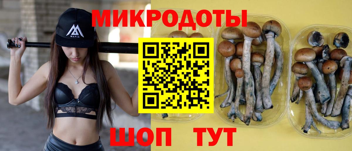 Псилоцибиновые грибы GOLDEN TEACHER  Вход с VPN  Дубна 