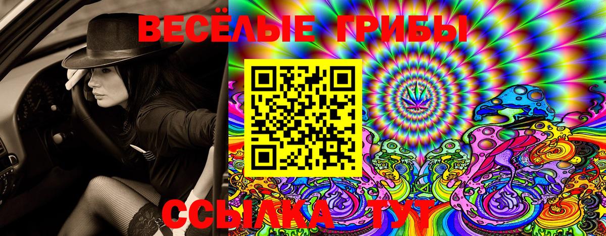 LSD-25 Дубна